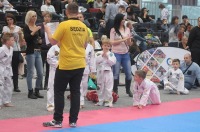 Taekwondo Polish Open Cup 2016 Opole - 7513_foto_24opole_153.jpg