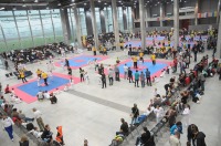 Taekwondo Polish Open Cup 2016 Opole - 7513_foto_24opole_163.jpg