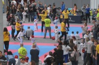 Taekwondo Polish Open Cup 2016 Opole - 7513_foto_24opole_169.jpg