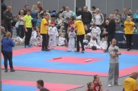Taekwondo Polish Open Cup 2016 Opole - 7513_foto_24opole_171.jpg