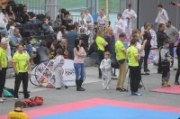 Taekwondo Polish Open Cup 2016 Opole - 7513_foto_24opole_184.jpg