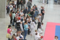 Taekwondo Polish Open Cup 2016 Opole - 7513_foto_24opole_185.jpg