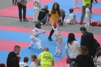 Taekwondo Polish Open Cup 2016 Opole - 7513_foto_24opole_188.jpg