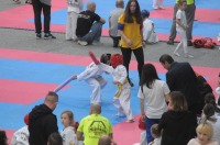 Taekwondo Polish Open Cup 2016 Opole - 7513_foto_24opole_190.jpg