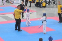 Taekwondo Polish Open Cup 2016 Opole - 7513_foto_24opole_191.jpg