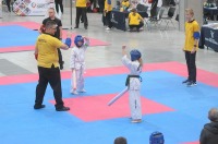 Taekwondo Polish Open Cup 2016 Opole - 7513_foto_24opole_193.jpg