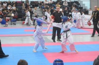 Taekwondo Polish Open Cup 2016 Opole - 7513_foto_24opole_196.jpg