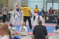 Taekwondo Polish Open Cup 2016 Opole - 7513_foto_24opole_202.jpg