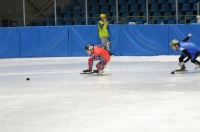 Mistrzostwa Polski w short-tracku - Opole 2017 - 7677_shorttrack_24opole_030.jpg