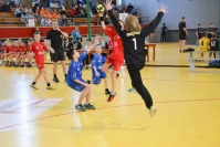 Mini Handball Liga - inauguracja 3. edycji - 7688_dsc_1157.jpg