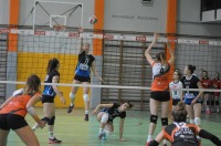 ECO UNI Opole 3-0 Olimpia Jawor  - 7695_foto_24opole_011.jpg