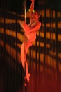 Pole Art Experience - I Międzynarodowe Mistrzostwa Pole Dance  - 7705_pole_art_24opole_213.jpg
