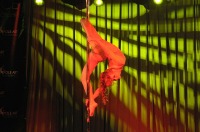 Pole Art Experience - I Międzynarodowe Mistrzostwa Pole Dance  - 7705_pole_art_24opole_215.jpg