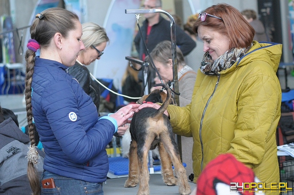 24opole.pl