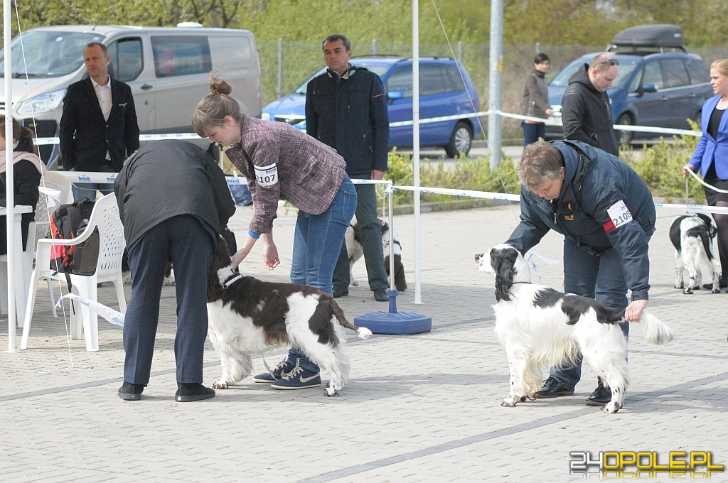 24opole.pl