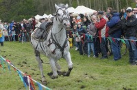 Międzynarodowy Turniej Rycerski - Opole 2017 - 7757_24opole_foto_311.jpg