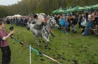 Międzynarodowy Turniej Rycerski - Opole 2017 - 7757_24opole_foto_326.jpg