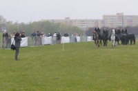 Majówka Kawaleryjska - Opole 2017 - 7765_foto_24opole_011.jpg