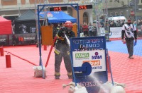 Firefighter Combat Challenge - Opole 2017 - 7771_firecombat_24opole_112.jpg