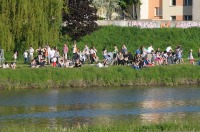 Fiesta balonowa Opole Balloon Challenge 2017 - 7793_foto_24opole_140.jpg