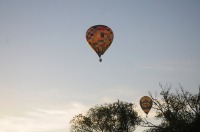 Fiesta balonowa Opole Balloon Challenge 2017 - 7793_foto_24opole_232.jpg