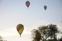 Fiesta balonowa Opole Balloon Challenge 2017 - 7793_foto_24opole_267.jpg