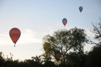 Fiesta balonowa Opole Balloon Challenge 2017 - 7793_foto_24opole_274.jpg