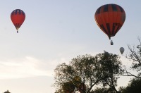 Fiesta balonowa Opole Balloon Challenge 2017 - 7793_foto_24opole_275.jpg