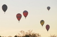 Fiesta balonowa Opole Balloon Challenge 2017 - 7793_foto_24opole_295.jpg