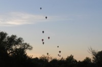 Fiesta balonowa Opole Balloon Challenge 2017 - 7793_foto_24opole_321.jpg