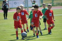 VII Mistrzostwa Opola Przedszkolaków w piłce nożnej - 7841_foto_24opole_010.jpg