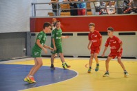 Finał Mini Handball Ligi 2017 - 7845_dsc_7218.jpg