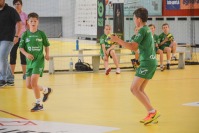 Finał Mini Handball Ligi 2017 - 7845_dsc_7231.jpg