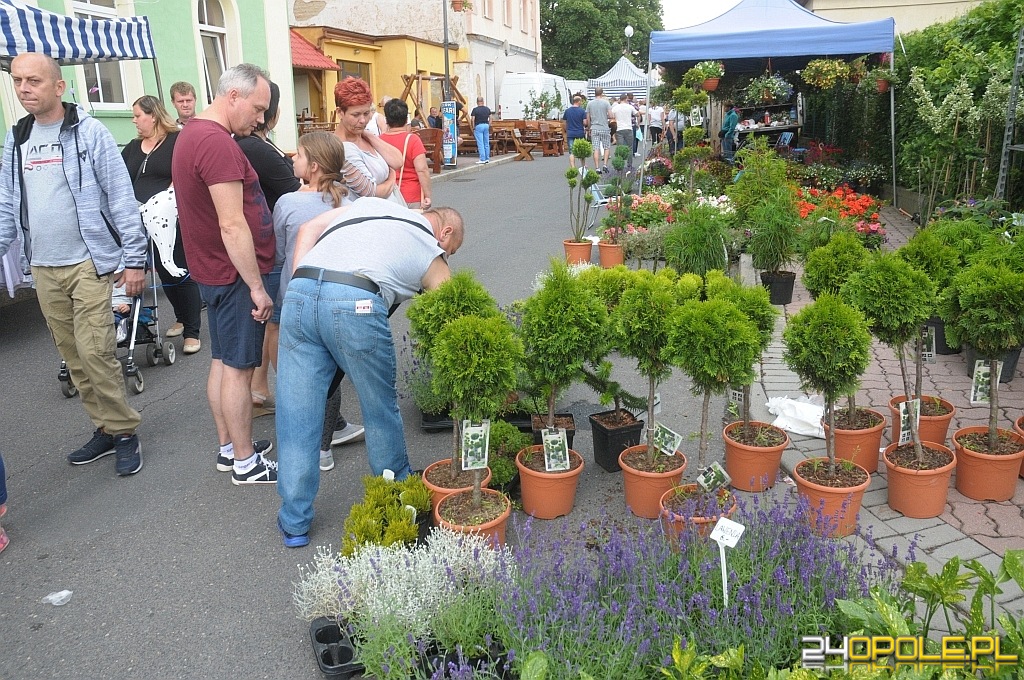 24opole.pl