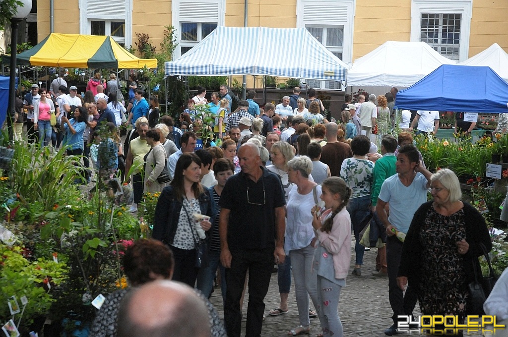 24opole.pl