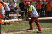 Międzynarodowe Zawody Drwali w Bobrowej 2017 - 7875_opole_24opole_238.jpg