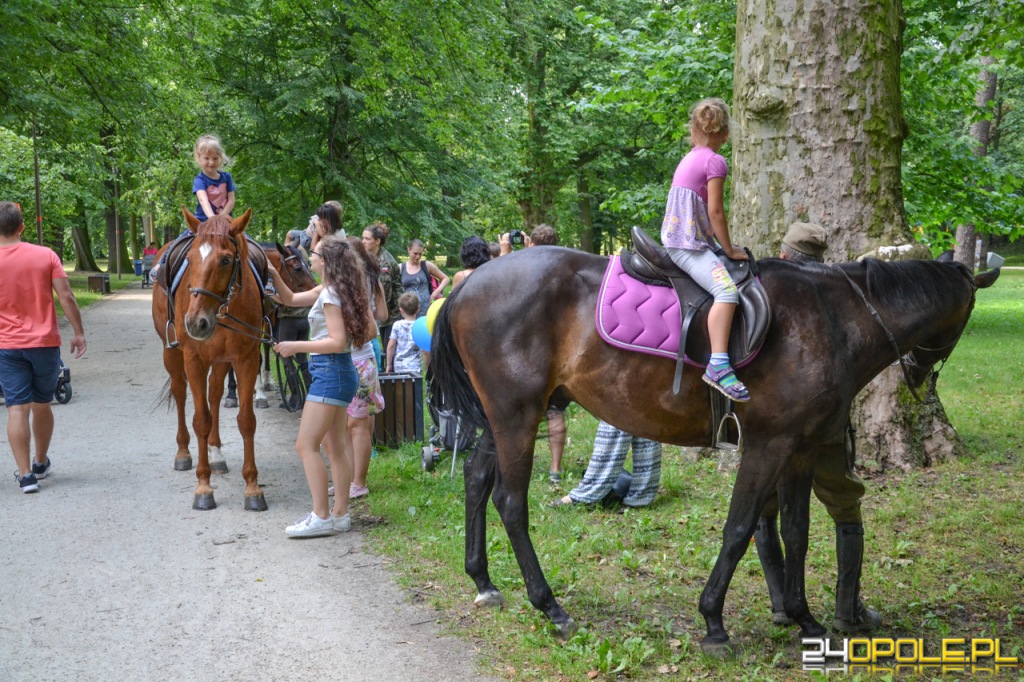 24opole.pl