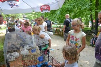 Piknik rodzinny nad Odrą - 7877_dsc_0273.jpg