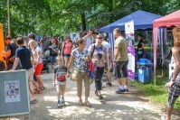 Piknik rodzinny nad Odrą - 7877_dsc_0341.jpg