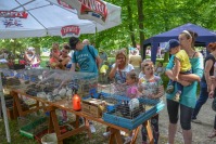 Piknik rodzinny nad Odrą - 7877_dsc_0389.jpg