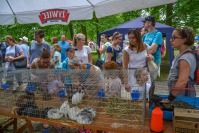 Piknik rodzinny nad Odrą - 7877_dsc_0403.jpg