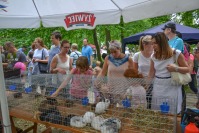 Piknik rodzinny nad Odrą - 7877_dsc_0404.jpg