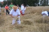 Złota Kosa 2017 w Piątkowicach - 7881_zlotakosa_24opole_091.jpg