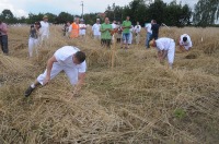 Złota Kosa 2017 w Piątkowicach - 7881_zlotakosa_24opole_099.jpg