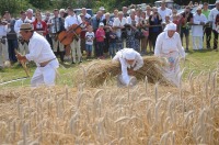 Złota Kosa 2017 w Piątkowicach - 7881_zlotakosa_24opole_121.jpg