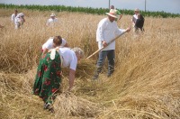 Złota Kosa 2017 w Piątkowicach - 7881_zlotakosa_24opole_153.jpg