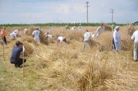 Złota Kosa 2017 w Piątkowicach - 7881_zlotakosa_24opole_166.jpg