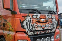 13. Master Truck 2017 Show - 7892_dsc_8445.jpg