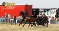 13. Master Truck 2017 fotorelacja - 7897_master_truck_2017_foto_tv_brawo_123.jpg