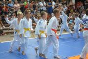 Festyn Plenerowy "Zdrowo na Sportowo"
